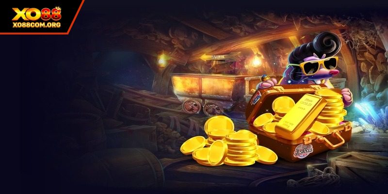 Cách tiếp cận khung cược ở mọi cấp độ