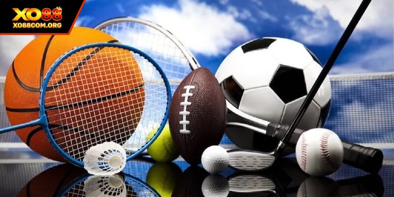 Đặt cược và theo dõi  thể thao