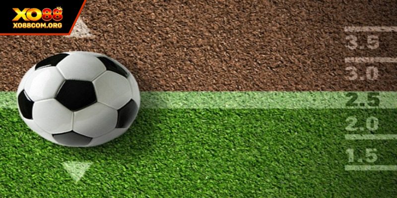 Kèo Tài Xỉu 2 Trái Là Gì? Hướng Dẫn Đọc Kèo Tại XO88