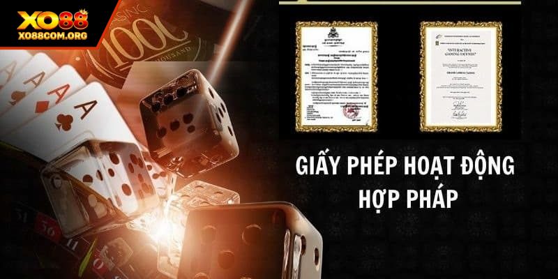 Nguyên nhân làm cho giấy phép hoạt động quan trọng