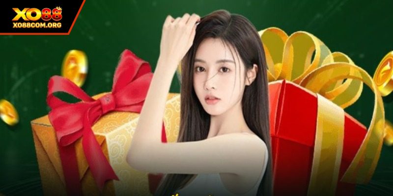 Quyền lợi đặc biệt của các cộng tác viên