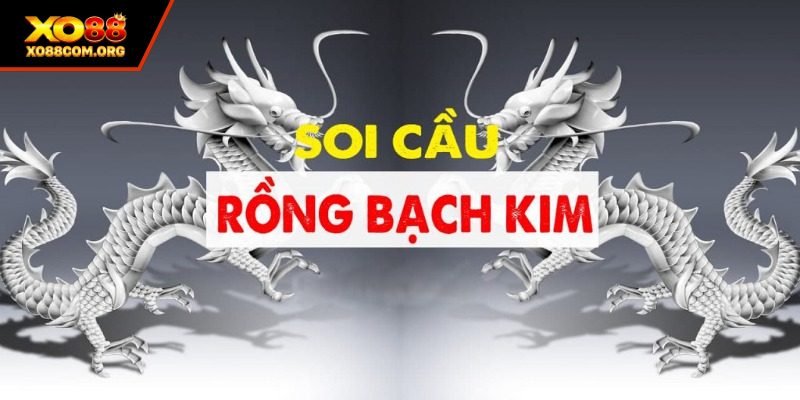 Soi cầu rồng bạch kim định nghĩa là gì?