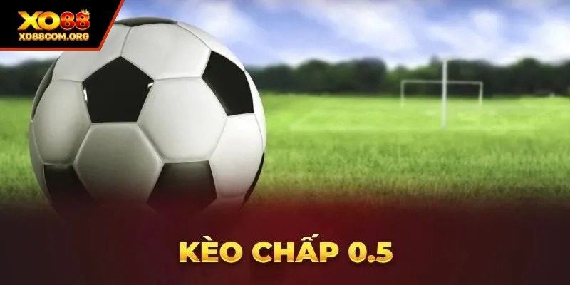 Tổng hợp thông tin về kèo chấp 0.5